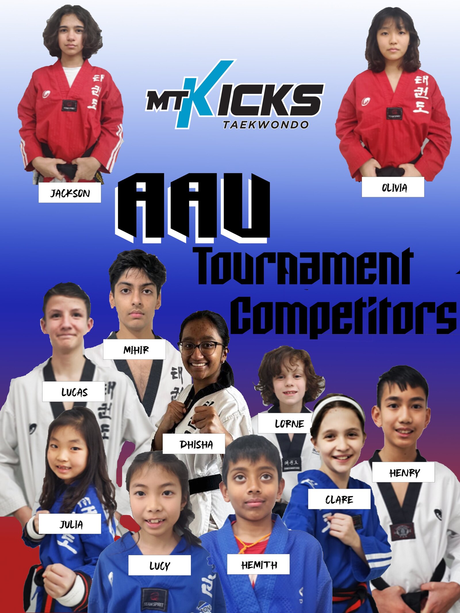 Mt Kicks Taekwondo Frisco, TX